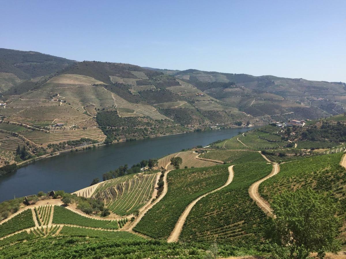 Refugio D'Anita Douro Valley House Barcos Eksteriør billede