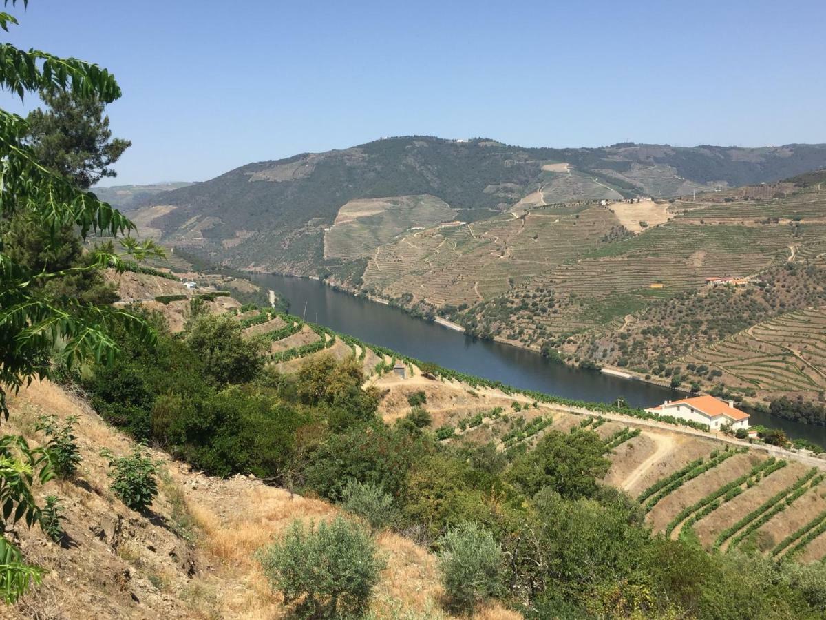 Refugio D'Anita Douro Valley House Barcos Eksteriør billede